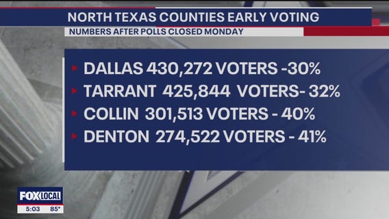 NTX early voting turnout more favorable to GOP: expert