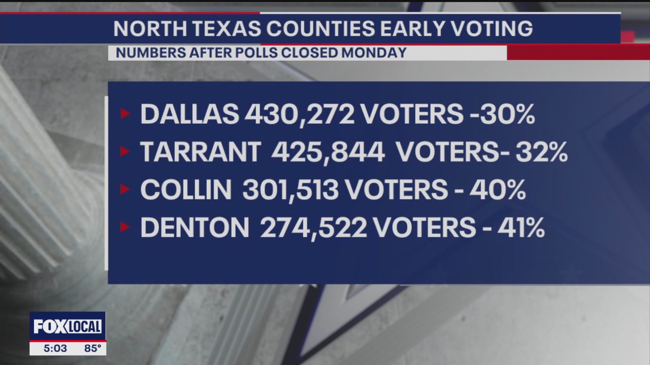 NTX early voting turnout more favorable to GOP: expert