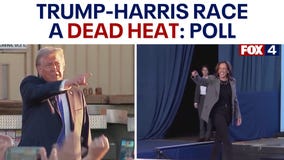 Polls: Trump-Harris in dead heat nationwide