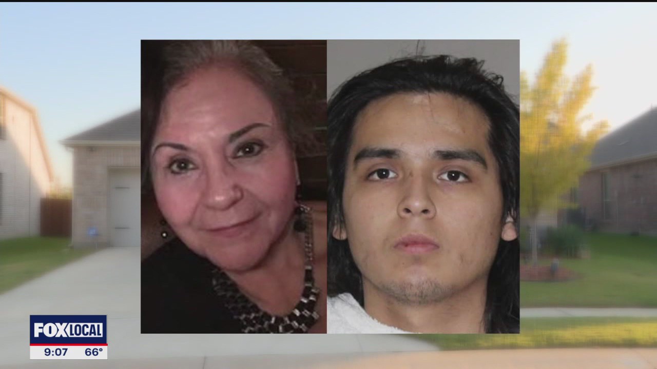 Aubrey man admits to murdering aunt