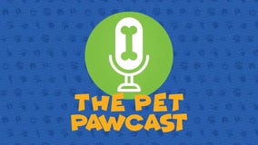 Pet Pawcast: Adopting and caring for a senior pet