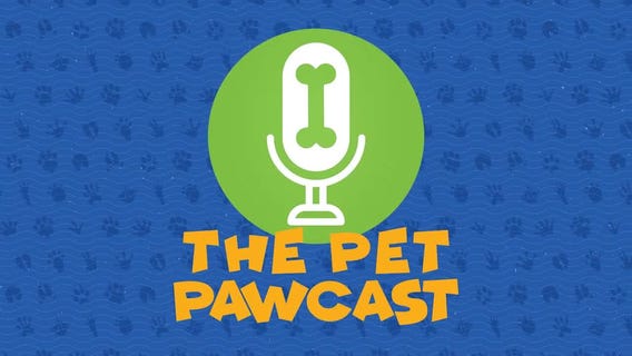 Pet Pawcast: Adopting and caring for a senior pet
