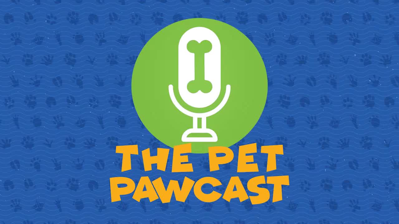 Pet Pawcast: Adopting and caring for a senior pet