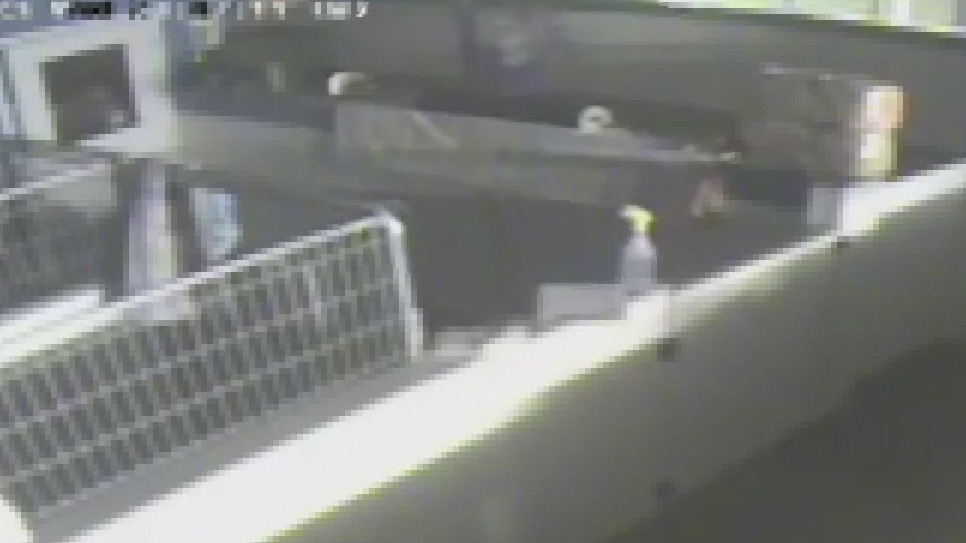 Houston-area pet shop employee foils clumsy heist