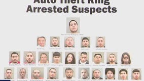 Nearly 2 dozen suspects arrested in auto theft ring