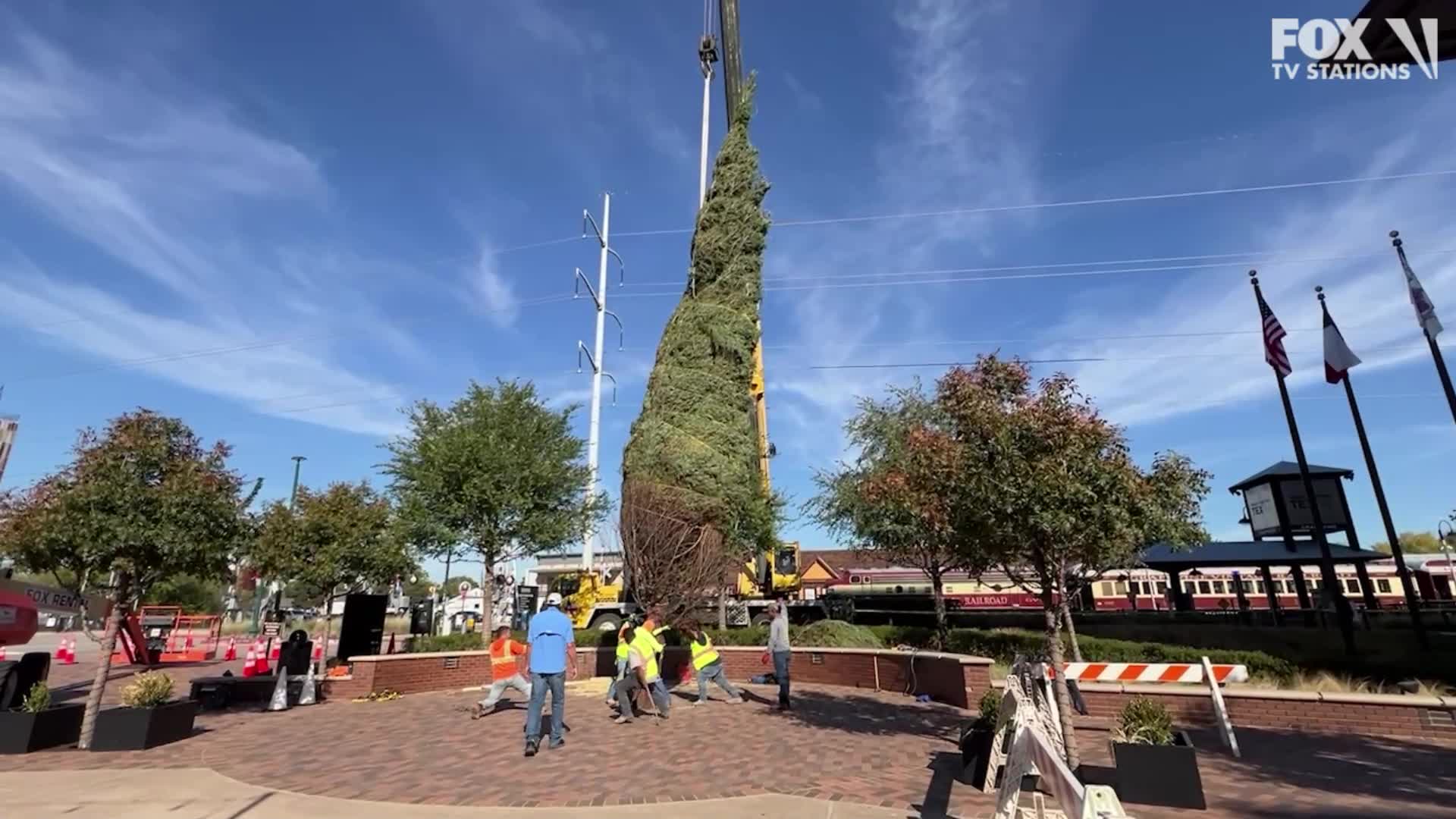 Christmas tree's journey to Grapevine