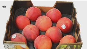 CDC links several fruits to Listeria outbreak