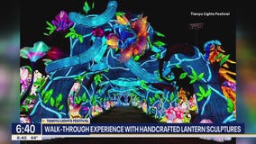 Magical Forest Tianyu Lights Festival in Grand Prairie