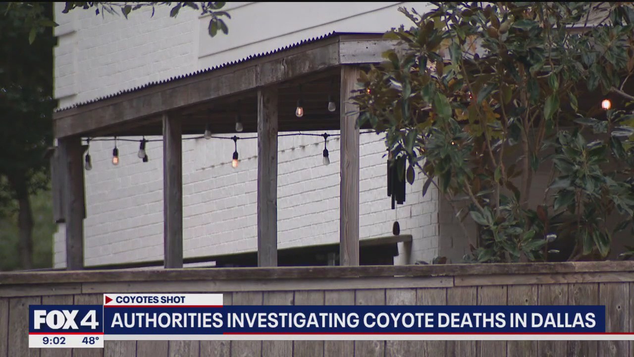 Game warden investigating coyote shootings in Lochwood