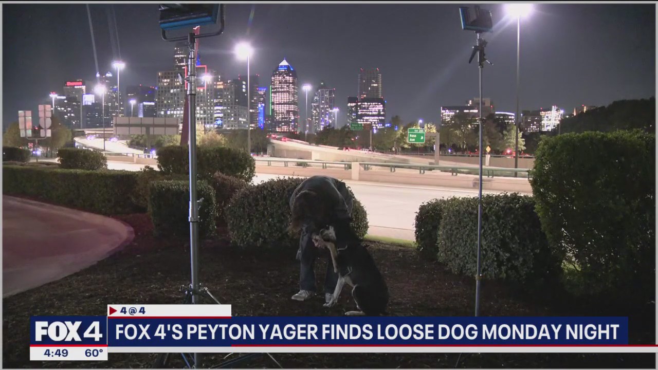 FOX 4's Peyton Yager finds dog abandoned by owner