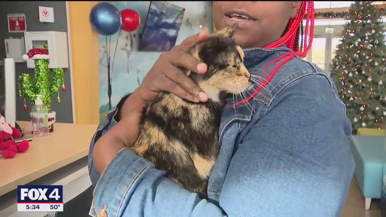 Fort Worth shelter to hold 'Home for the PAW-lidays'