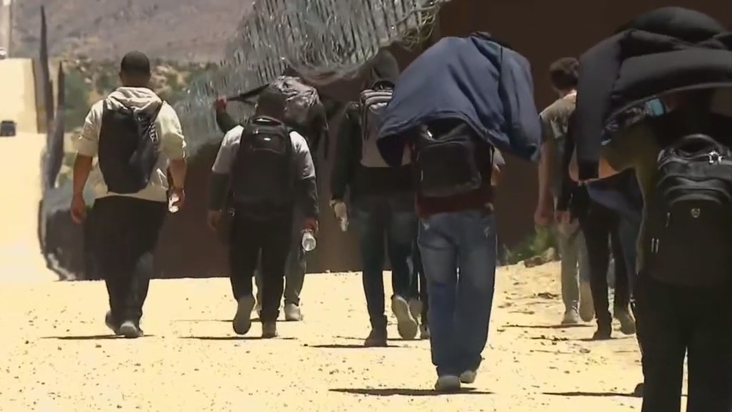 Trump promises to end birthright citizenship