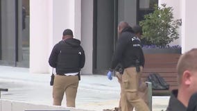 Palestinian protester set herself on fire