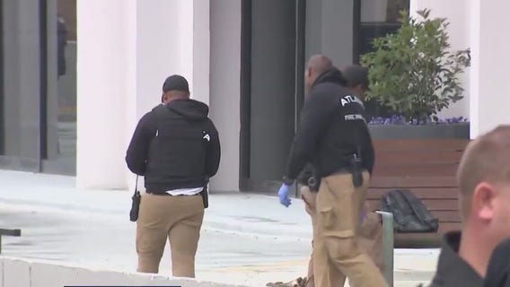 Palestinian protester set herself on fire