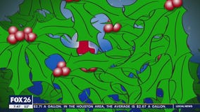 FOX 26 '12 Days of Christmas' to soon begin