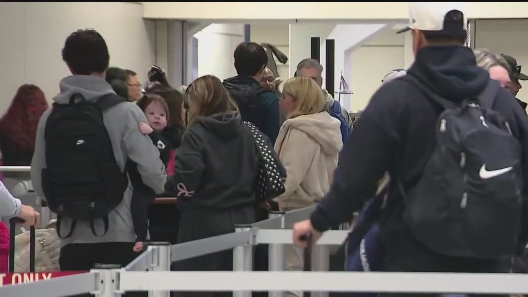 American Airlines 'technical issue' disrupts flights