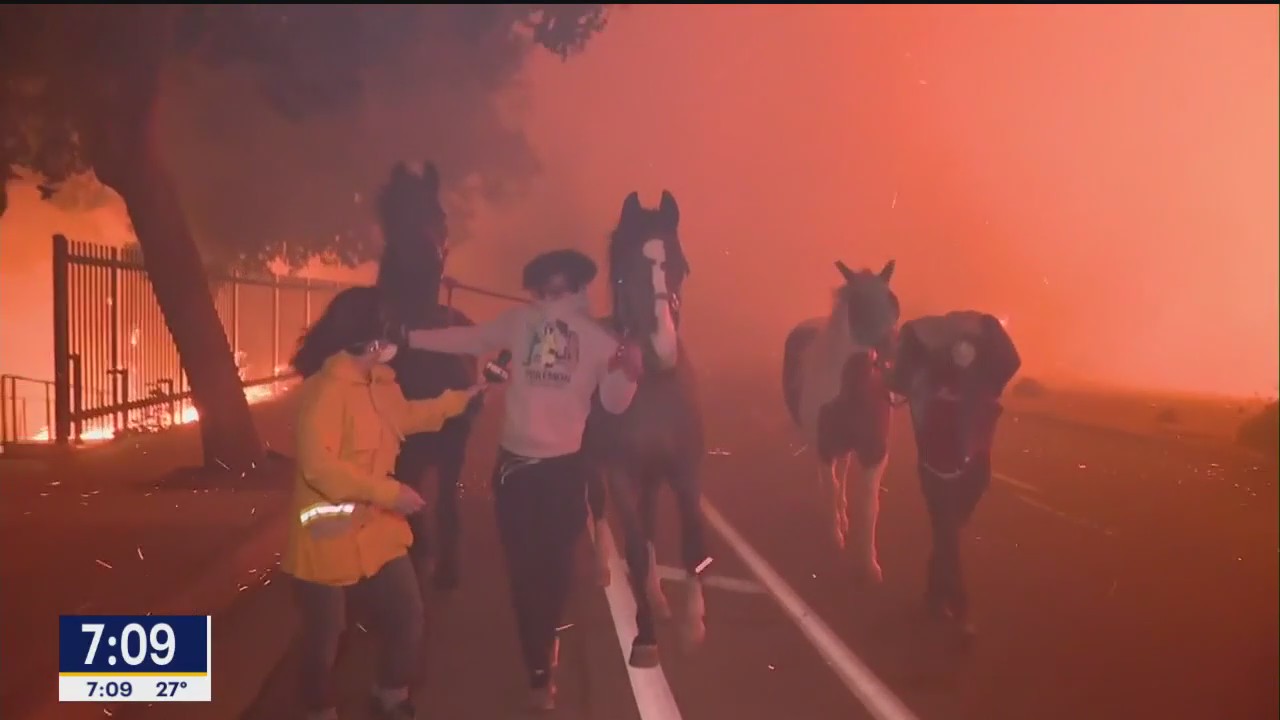 Thousands forced to evacuate in California wildfires