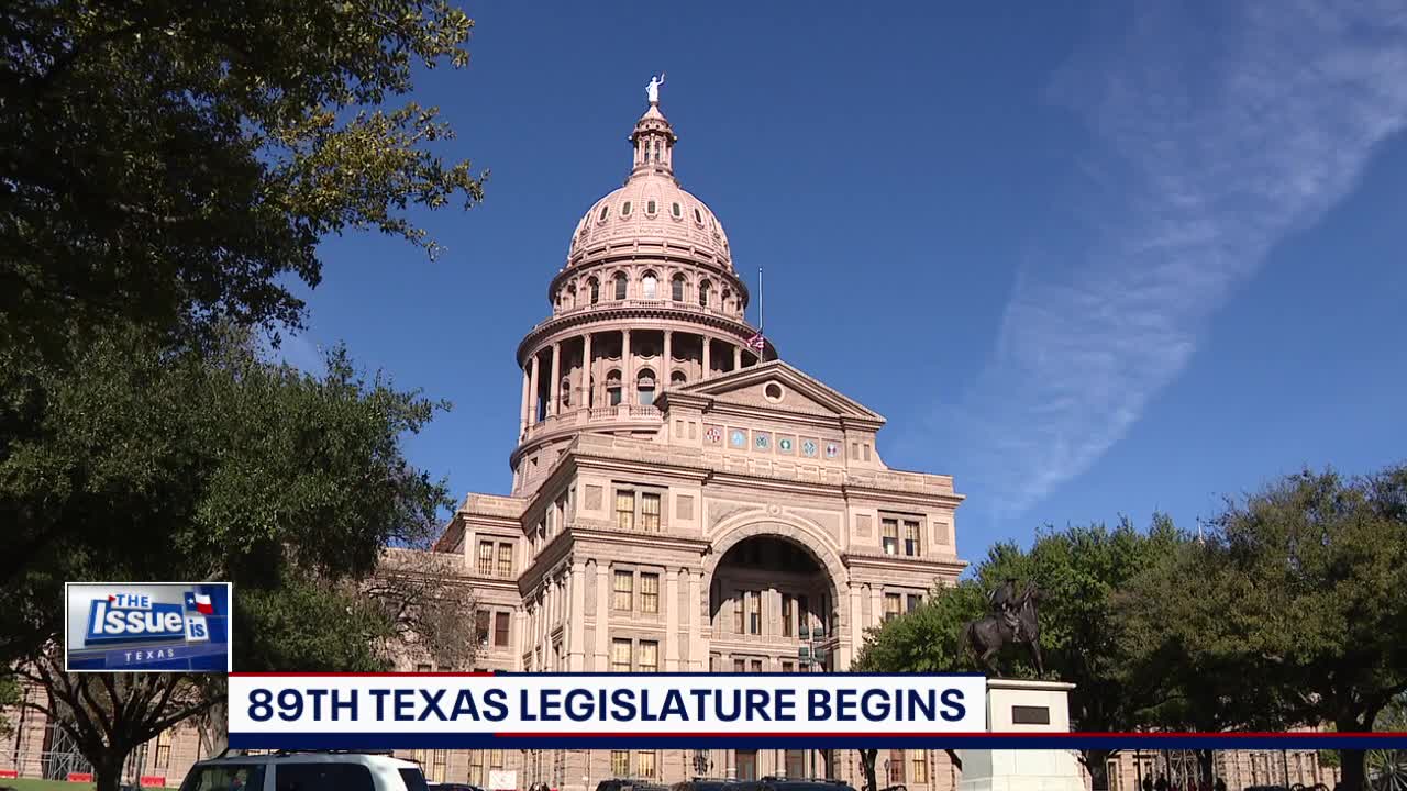 Texas Reps. on House Speaker election, new session