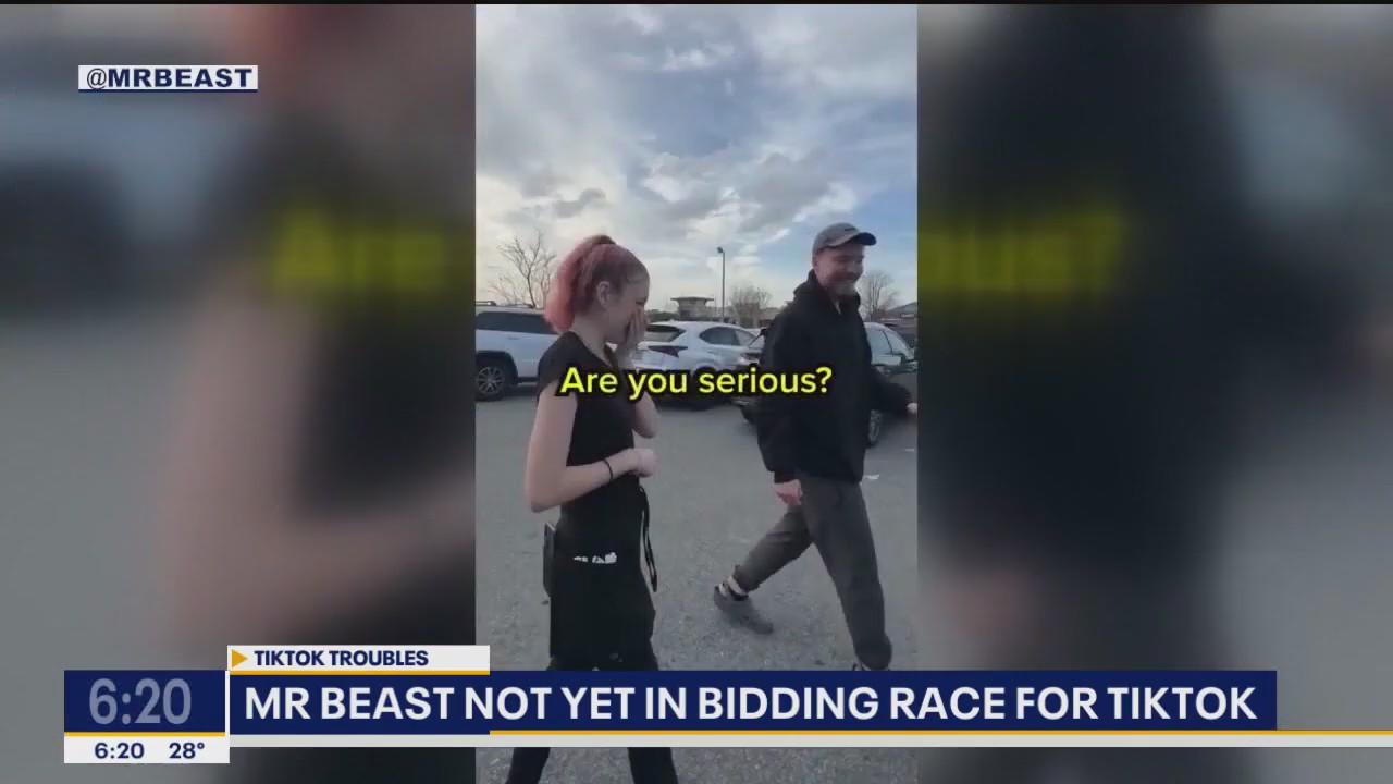 Mr. Beast officially in bidding race to buy TikTok