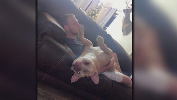 Baytown dog killed by neighbor's dog