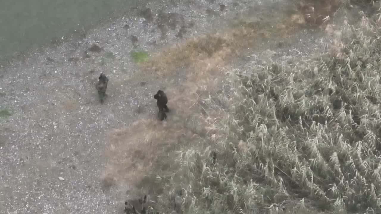 Suspected cartel members shoot at Border Patrol