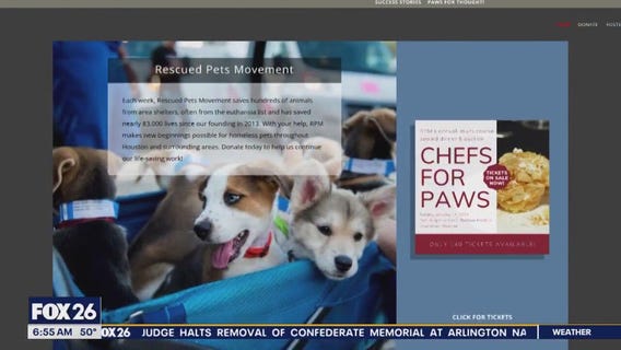 Rescued Pets Movement needs fosters