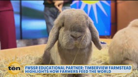 Bunnies, Beanboozled & Ben's retirement | The Ten