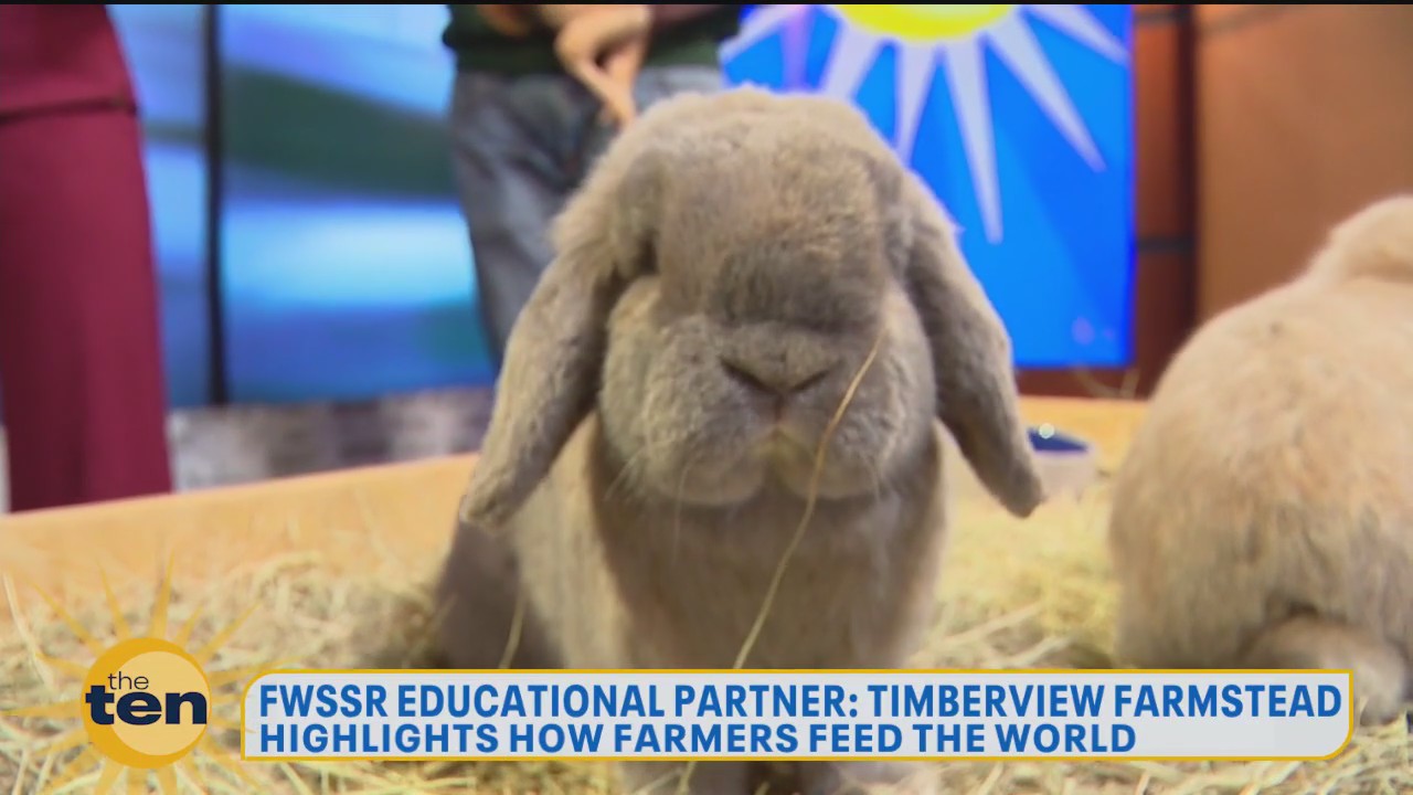 Bunnies, Beanboozled & Ben's retirement | The Ten