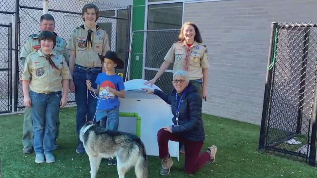 Dallas boy scout's project saving dogs