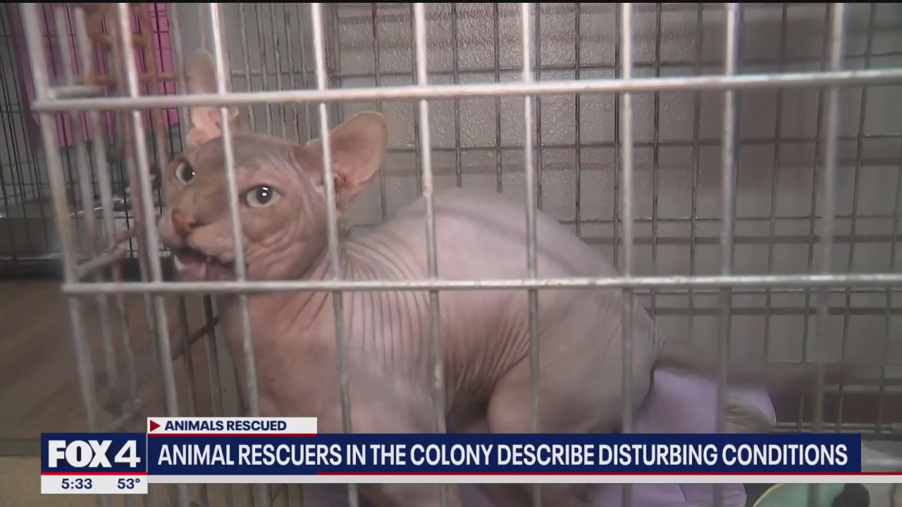 Animal rescuers describe horrific home conditions