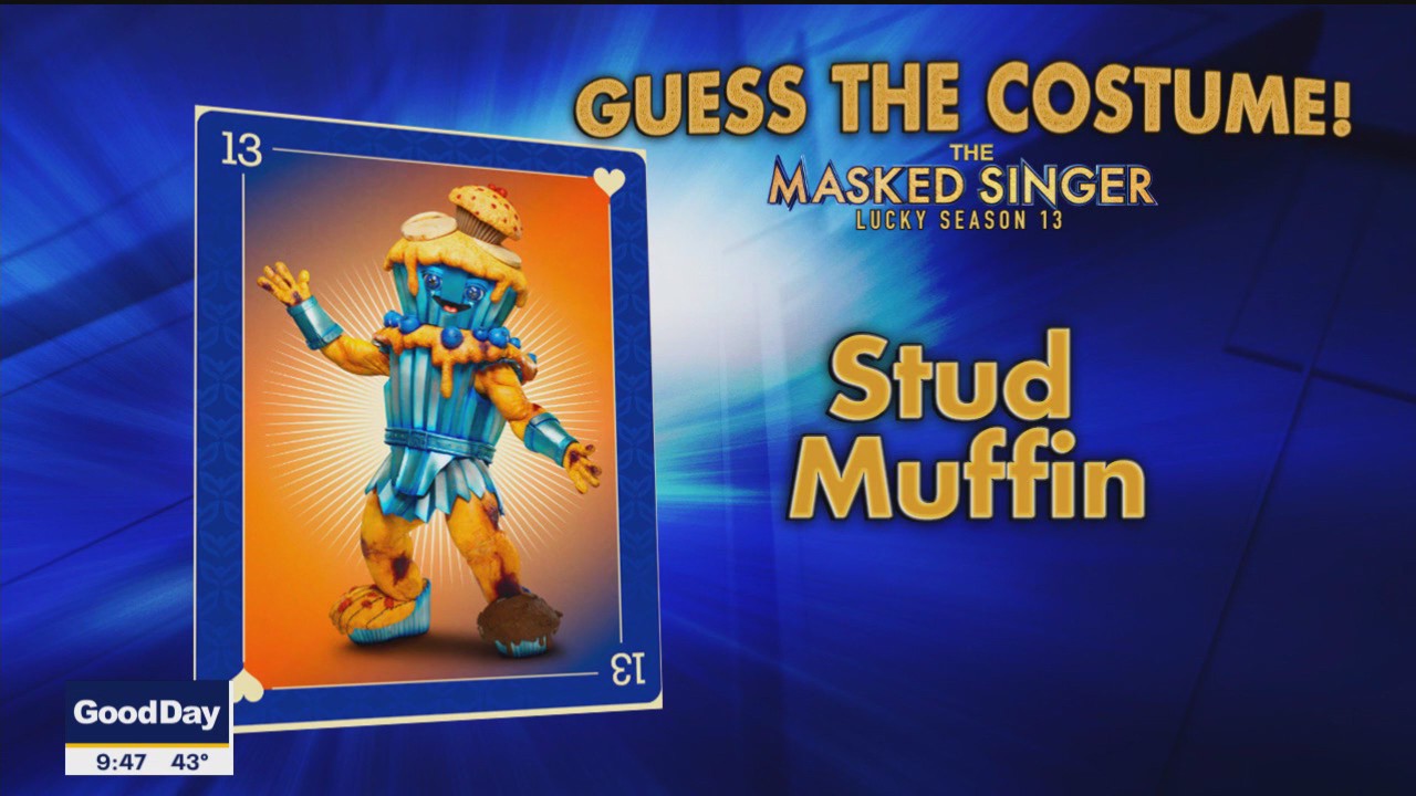 Guess the Costume: Masked Singer Season 13 Edition