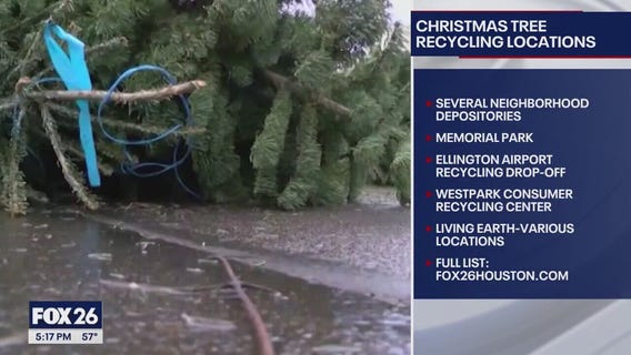 Dispose of your Christmas tree responsibly