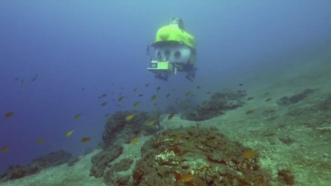 New species being found in deep ocean