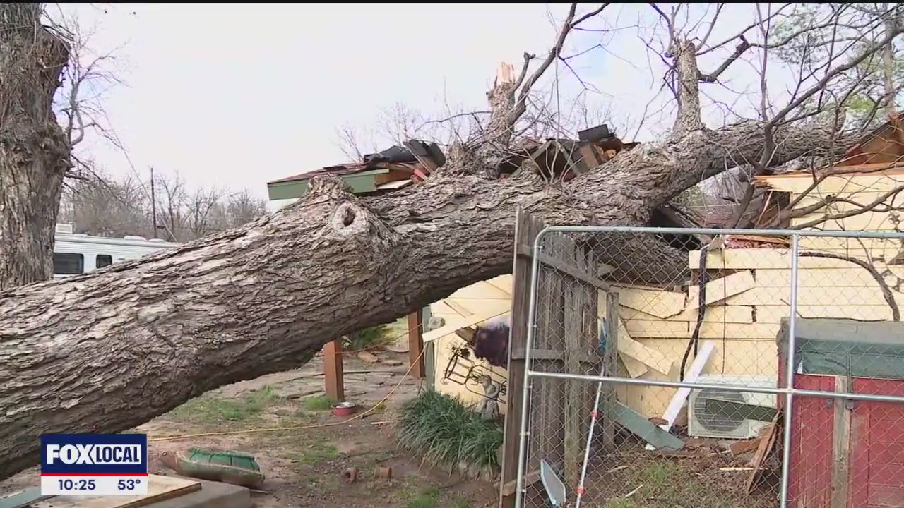 Uprooted tree falls atop Haltom City home