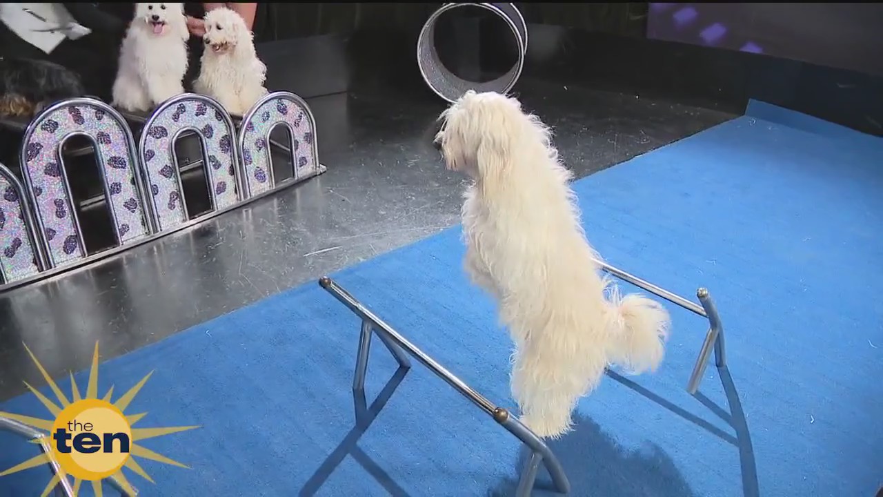 What's in the box? | The Ten