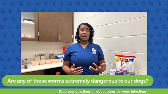 The Pet Pawcast: January 5, 2024