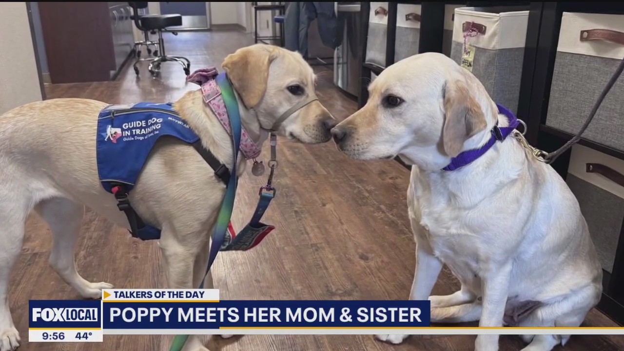Poppy meets her mom and sister!