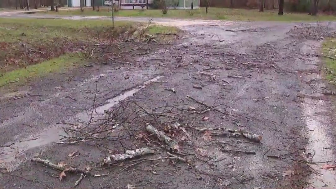 Strong storms topple trees, scatter limbs