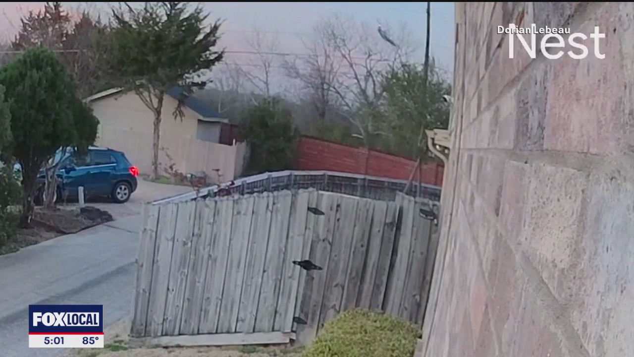 Pilot killed in Mesquite plane crash.