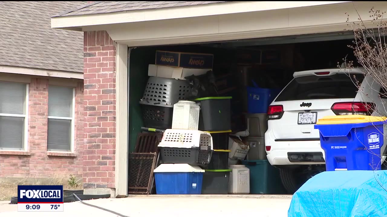 50 dogs seized from Watauga home