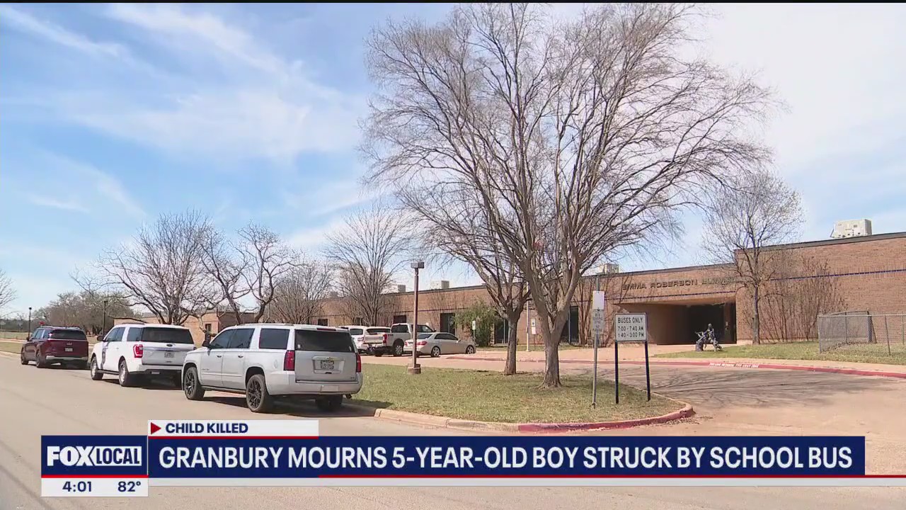 5-year-old boy struck, killed by school bus