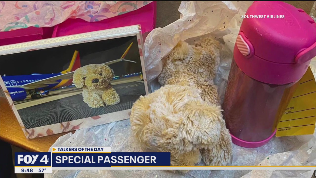 Talkers: A special passenger and a missing tortoise