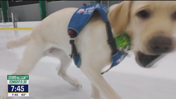 Poppy's Pucks: Stars vs. Lightning