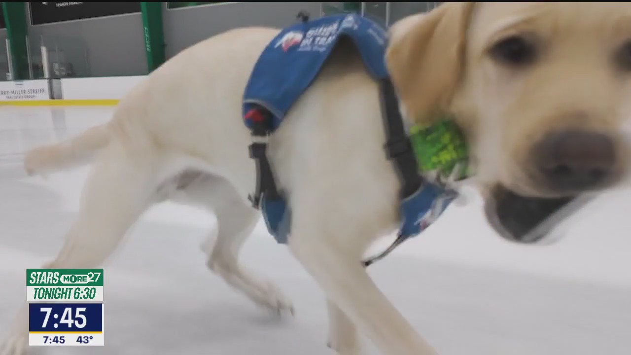 Poppy's Pucks: Stars vs. Lightning