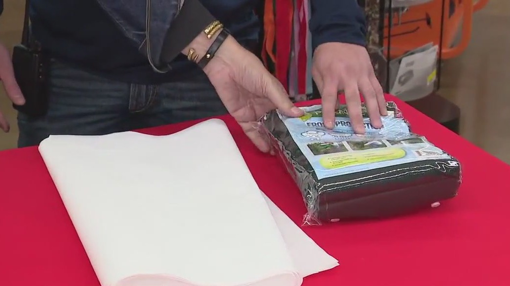 Preparing for a hard freeze