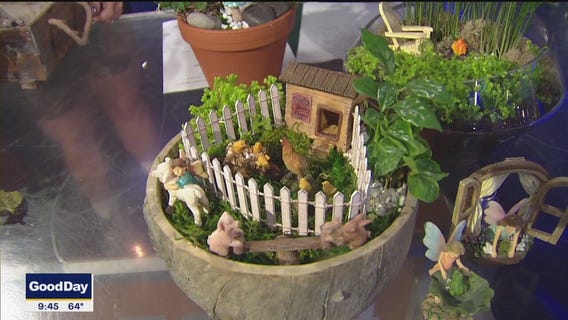 How to make a fairy garden