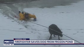 Heroic firefighter rescues dog from frozen pond