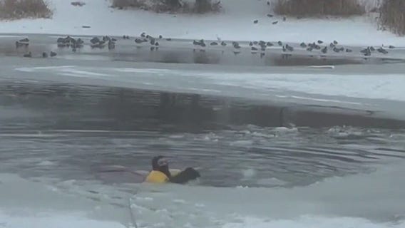 Firefighter pulls dog from icy pond
