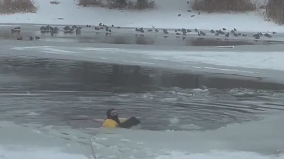 Firefighter pulls dog from icy pond