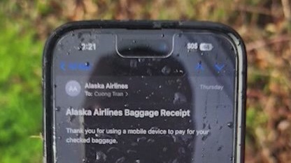 Here's the phone case that survived a 16,000-foot fall